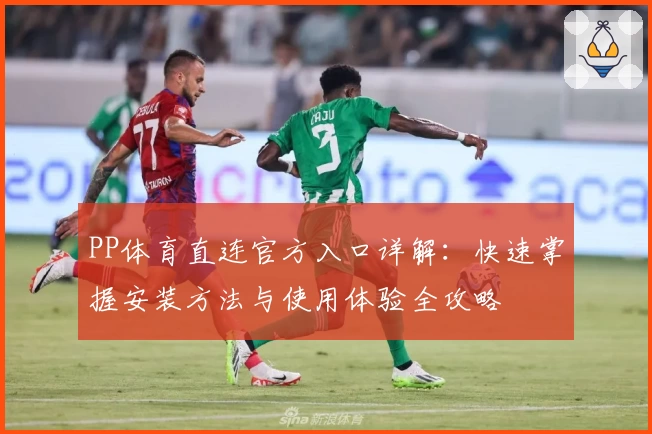 PP体育直连官方入口详解：快速掌握安装方法与使用体验全攻略